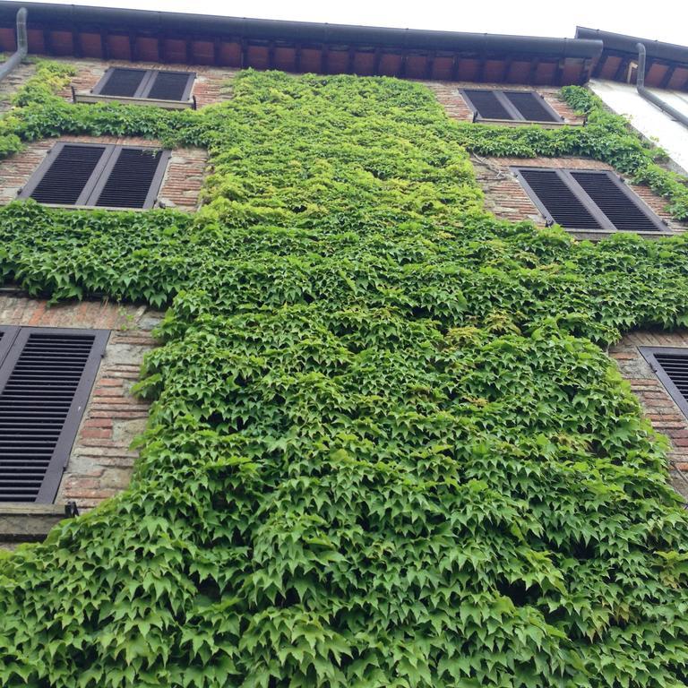 Tre Girasoli Monte San Savino Exterior photo